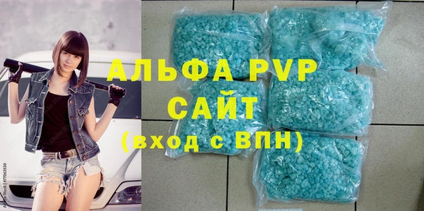 крисы Коряжма
