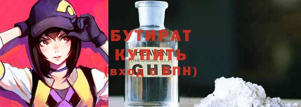сатива Ельня