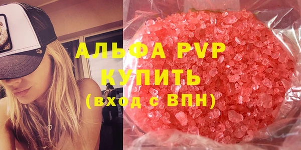 сатива Ельня