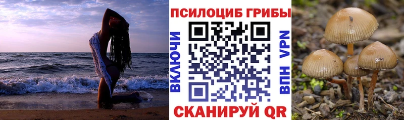 Галлюциногенные грибы мицелий  даркнет формула  Урус-Мартан  купить наркоту 