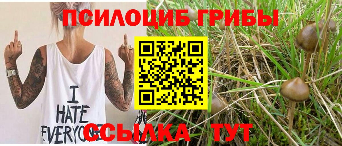 Урус-Мартан  Псилоцибиновые грибы мухоморы  Псилоцибиновые грибы мухоморы  Вход с VPN 