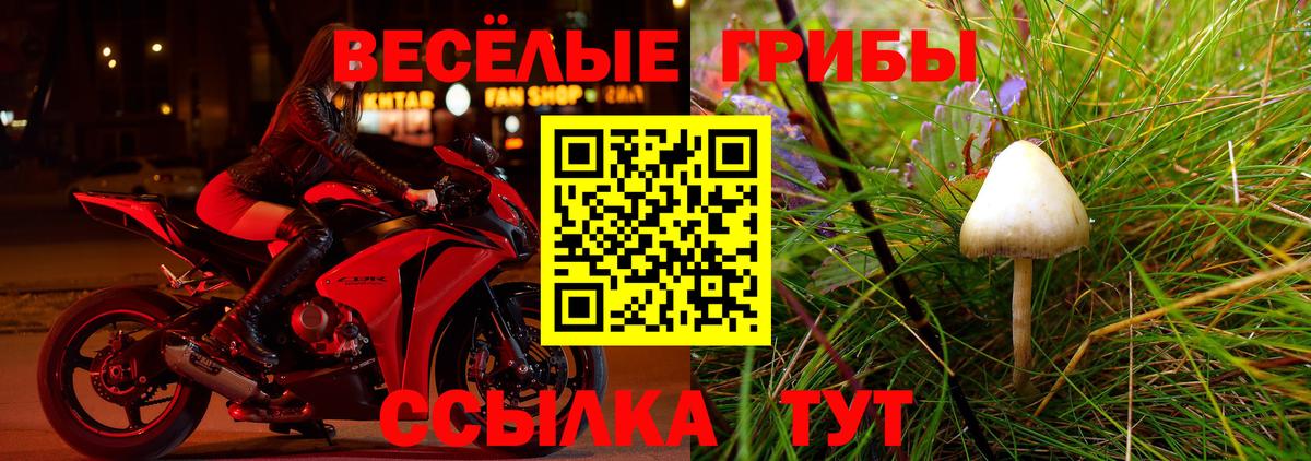 Галлюциногенные грибы ЛСД Урус-Мартан