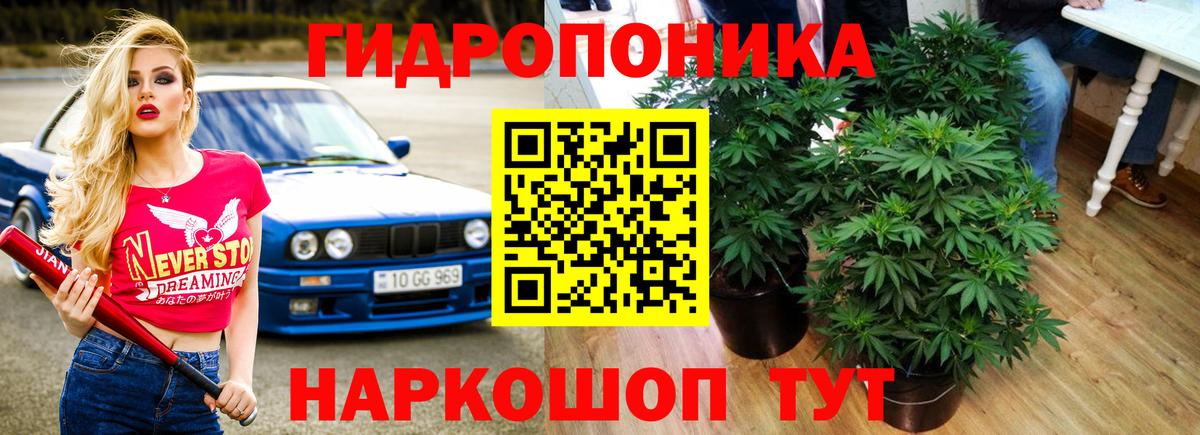 Шишки марихуана Ganja  Вход с VPN  Урус-Мартан  Конопля VHQ 