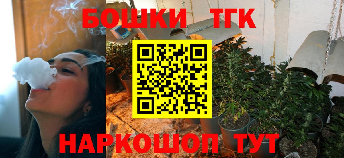 Конопля сатива Урус-Мартан